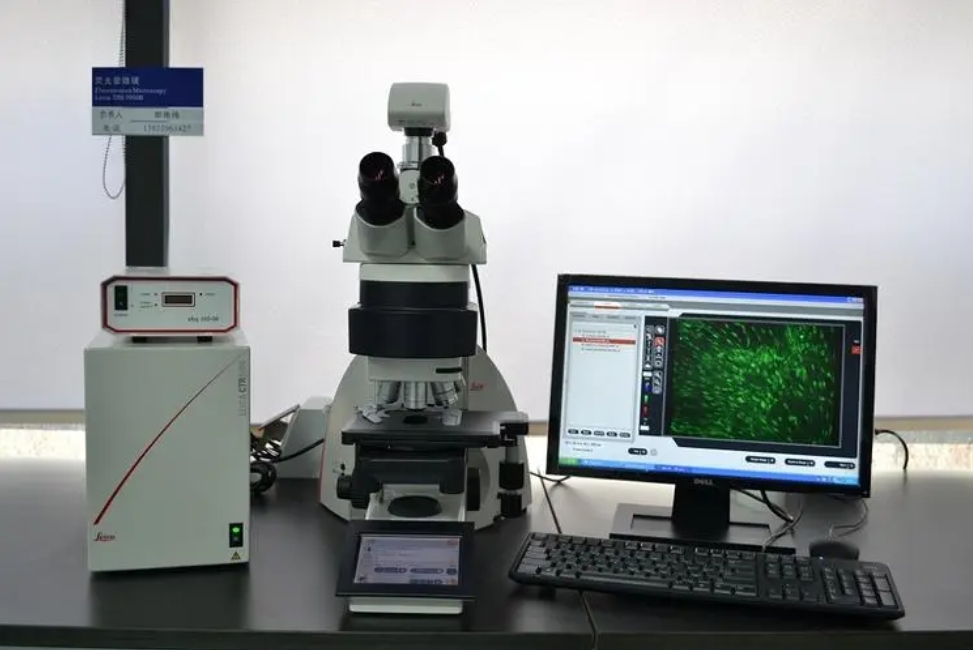 Fluorescence imaging