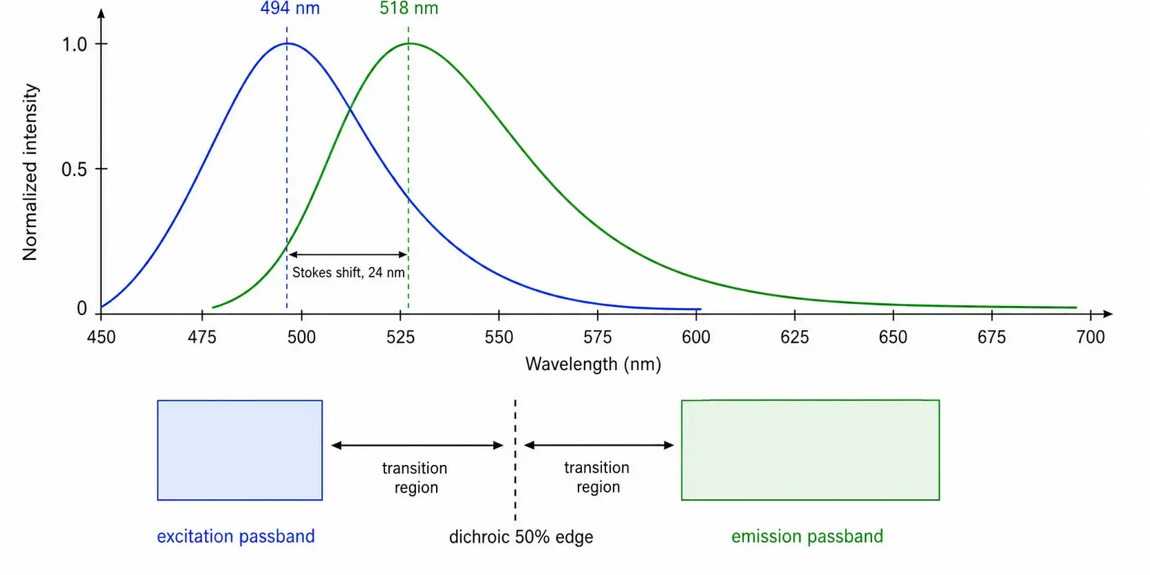 how stokes shift affects fluorescence filter selection how stokes shift affects fluorescence filter selection