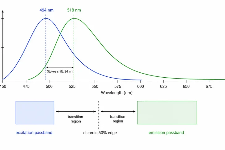 how stokes shift affects fluorescence filter selection how stokes shift affects fluorescence filter selection
