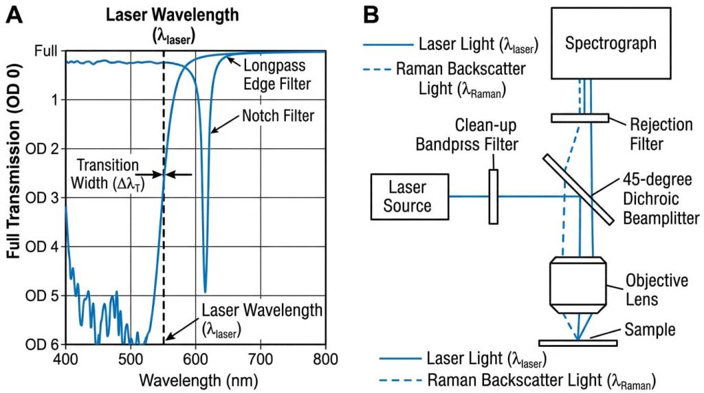raman edge filter vs notch filter how to choose